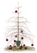 Christmas tree needle drop