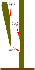 Spliced side-veneer graft